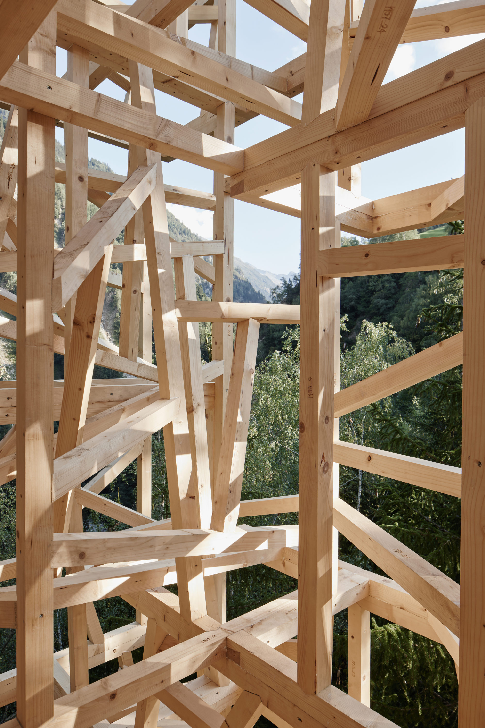 Crédit photo : Daniela Kienzler Fotografie