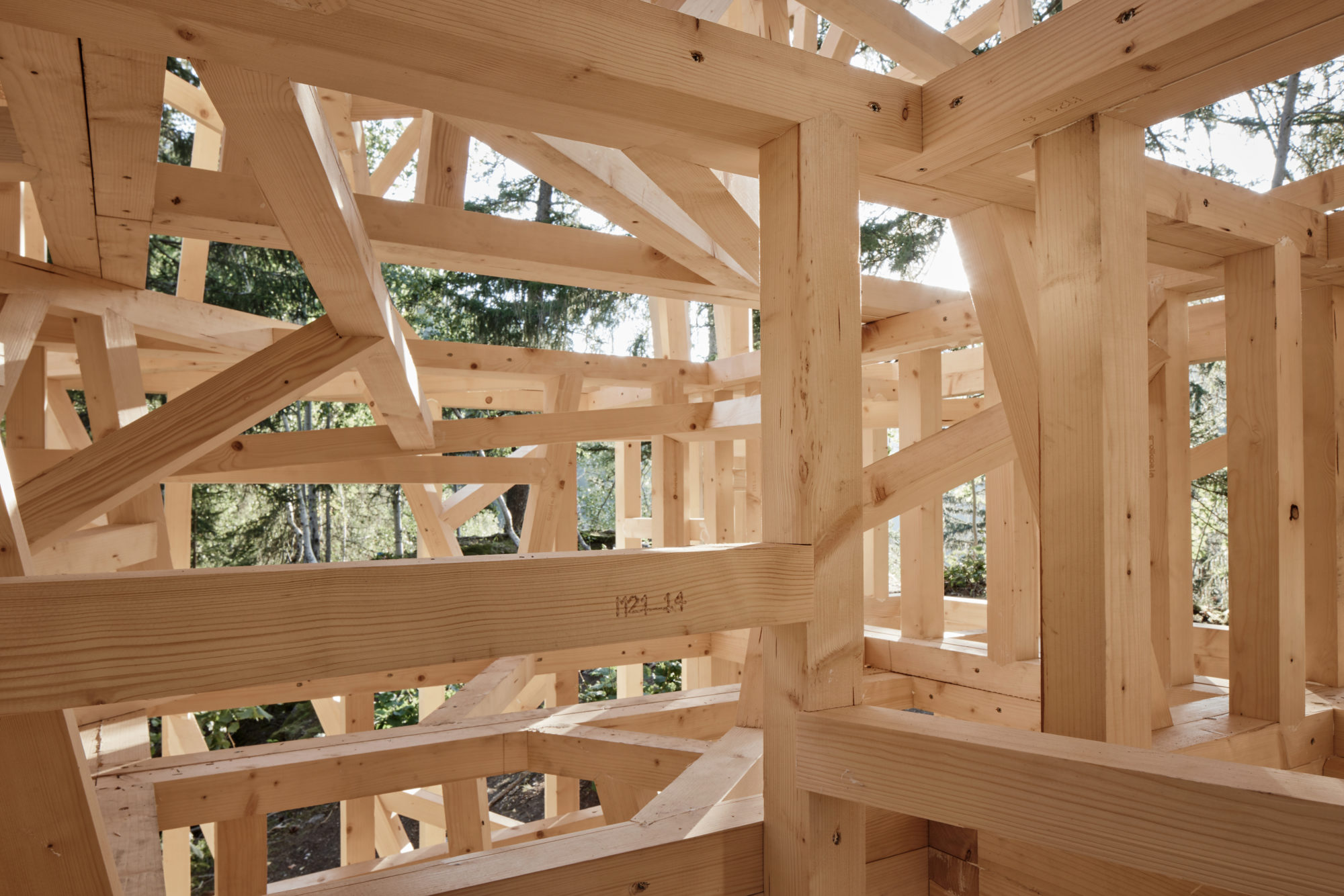 Crédit photo : Daniela Kienzler Fotografie